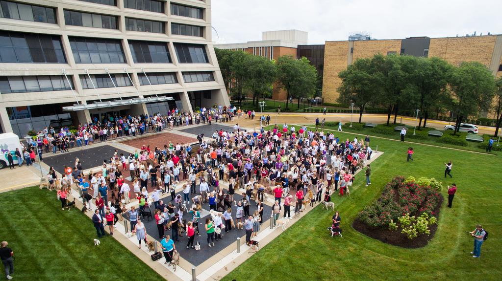 Nestle Purina-pets-at-work record-st louis